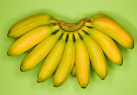 Organic Bananas